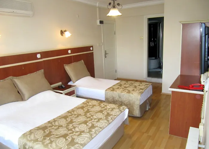 Hotell Ayvazali Bergama