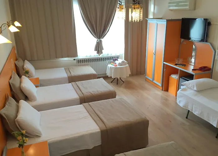 阿伊瓦萨利酒店