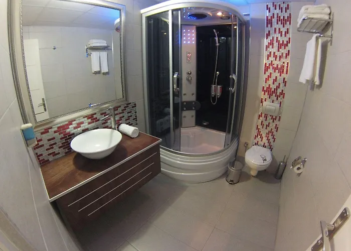 阿伊瓦萨利酒店 酒店 贝尔加马