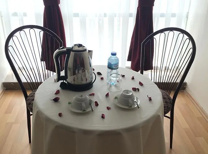 阿伊瓦萨利酒店