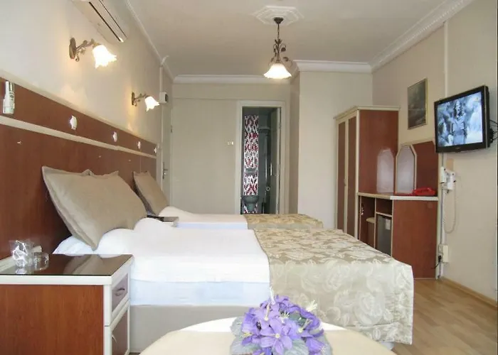 阿伊瓦萨利酒店 3*